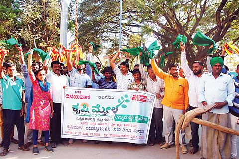 krushi mela
