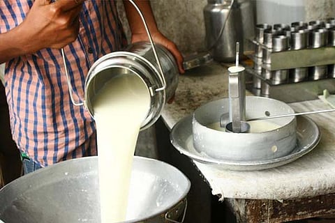 milk new