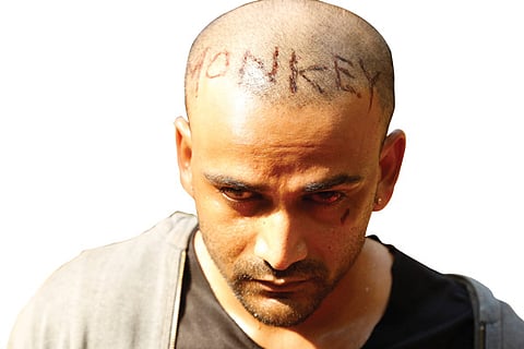 monkey seena feb 20 2020