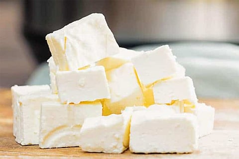 paneer 1234