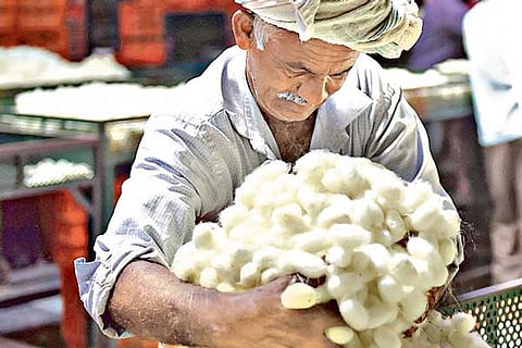 ramnagara-cocoon-market