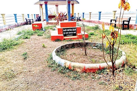 river new