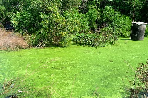 water new