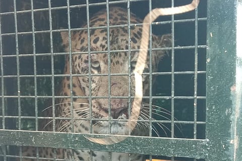 02Tmk_Chirate_operation