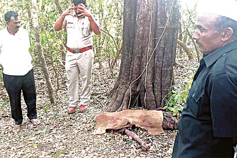 11Khanapur2-Web