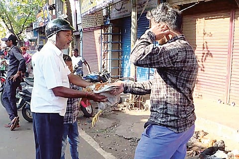 14 Jaggu 2-Web