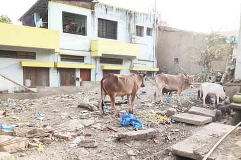 16-kalaghatagi 1a