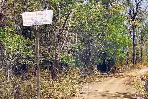 26sirsi5b