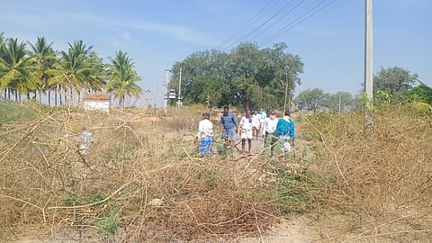 28Tmk_Rural_Corona_01