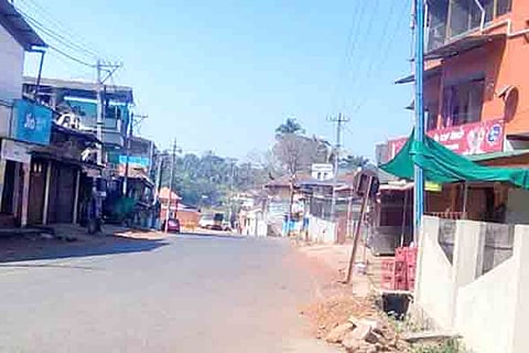 29sirsi1b
