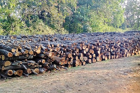 7sirsi1