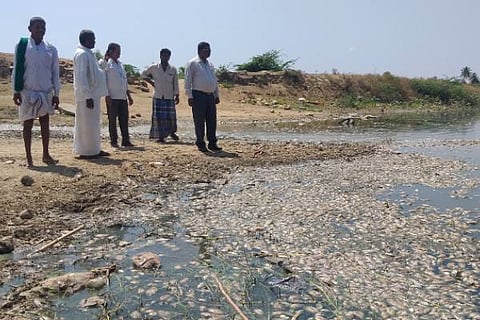 ARASIKERE MEENU 13 (1)