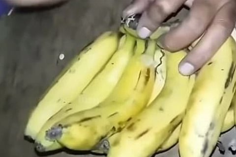 BANANA