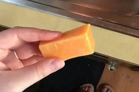 Canada women soap funny 19 MAR 20