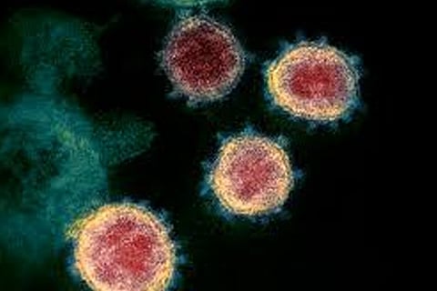 Coronavirus 16 march 20