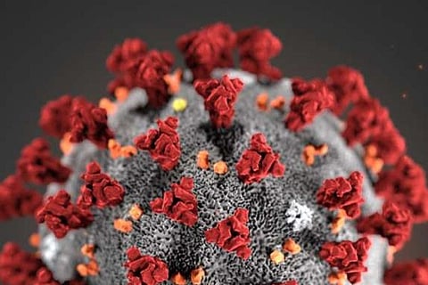 Coronavirus 21 march 20