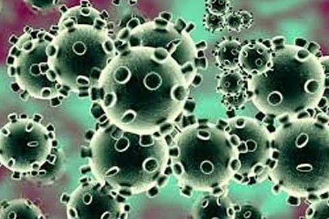 Coronavirus 3 March20