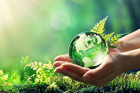 Environment