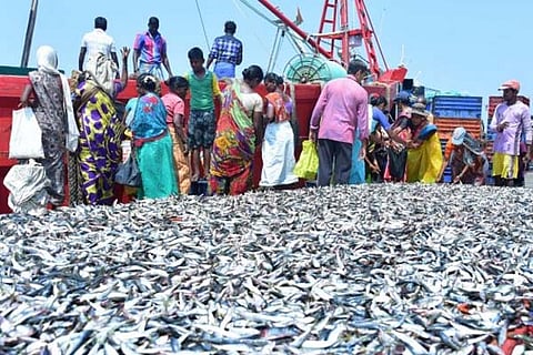 Fishery 5 March 20