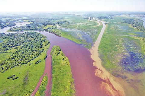 Godavari River 2 March 20