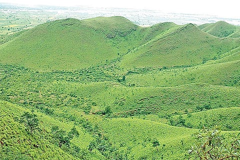 Kappatgudda