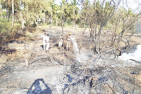 Khanahosalli Kanakambara Garden Burn