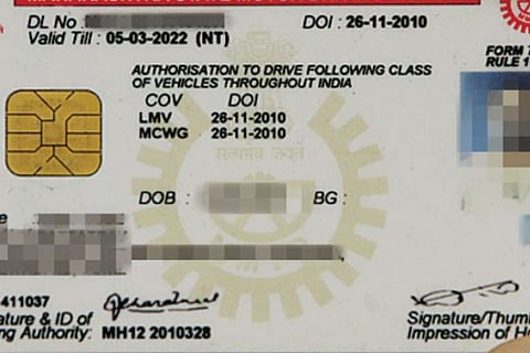 Licence 31