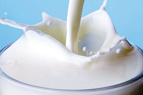 Milk