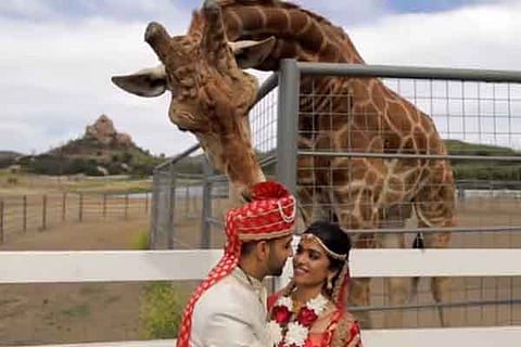 New Wedding Couple