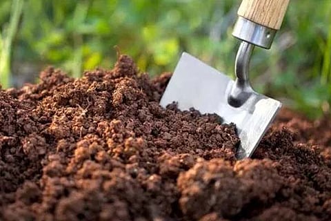 Soil Test 5 March 20
