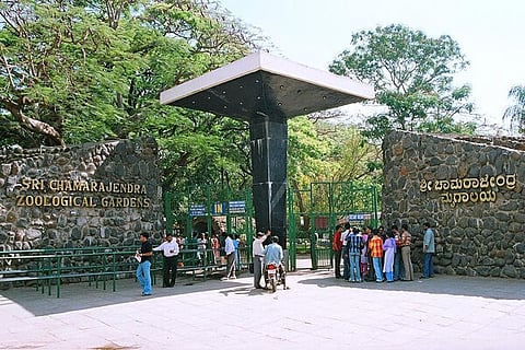 Zoo_entrance_gate (2)