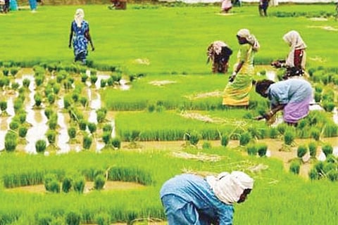 agri 15 mar 20