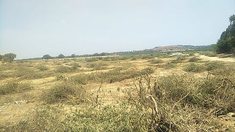 alkurke kere 1