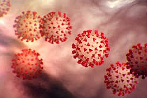 coorona virus 4 mar 20