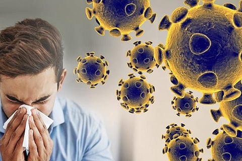 coronavirus-graphic-web-feature
