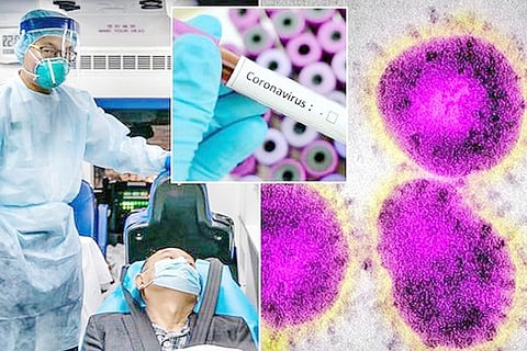 coronavirus-news-1235282