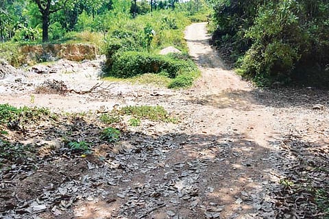 kalladaka new