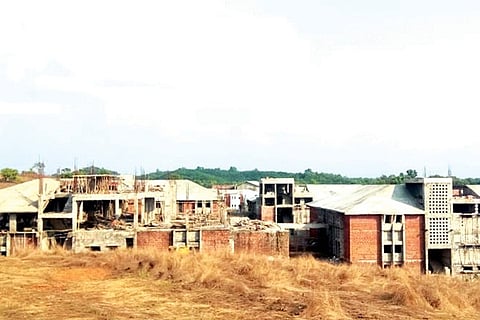 koila