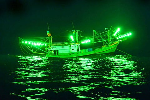 light fishing