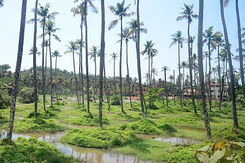mullakadu new