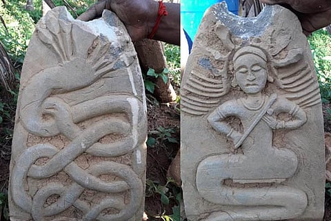 naga shile new