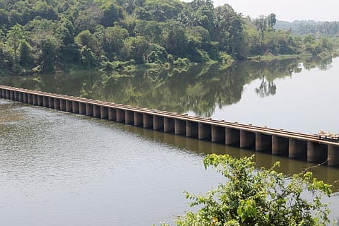 nekkilady new