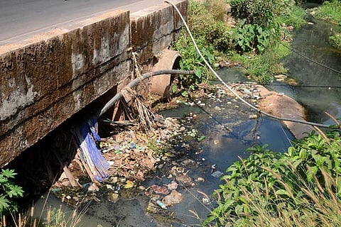 rajakaluve new