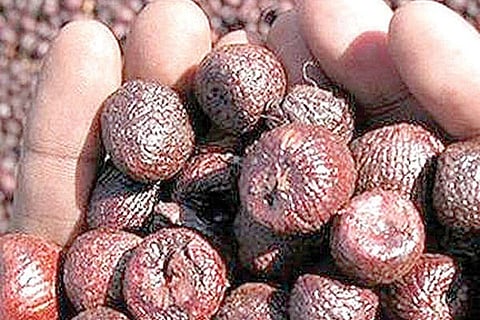 10SIRSI2
