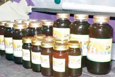 13sirsi1