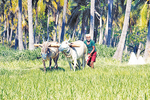 15-04-rama-raitha