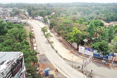 20 Jaggu 2-Web
