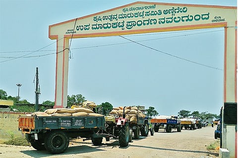 24nlg_1
