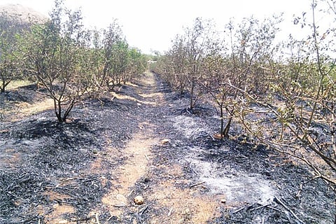 26042020 Tavaragera plantation Fire