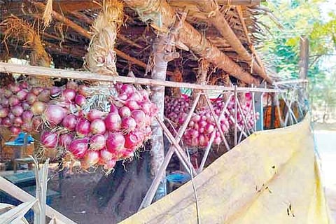 31KMT1